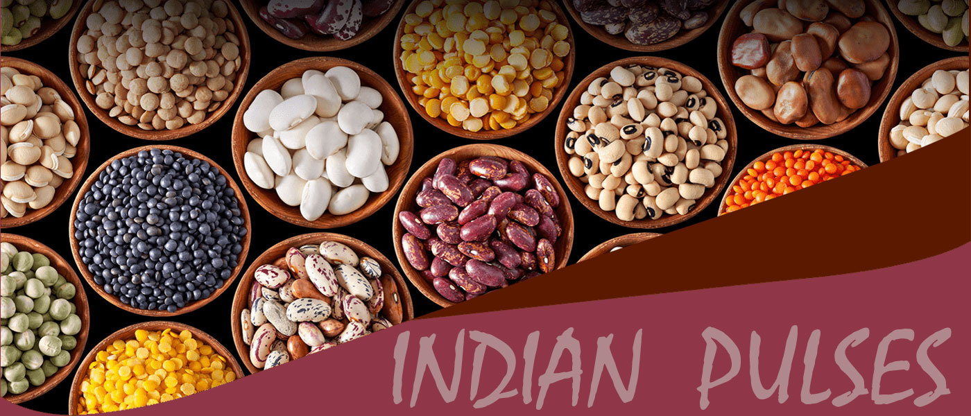 Reticulation Business Promotion Private Limited