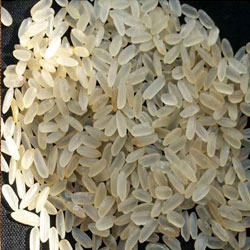 Short Grain Basmati Rice