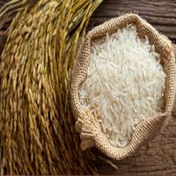 Organic Desi Rice